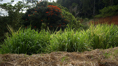 Enviro Tambang