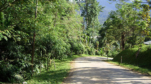 Enviro Tambang