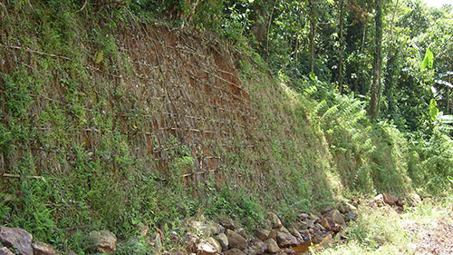 Enviro Tambang