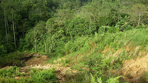 Enviro Tambang