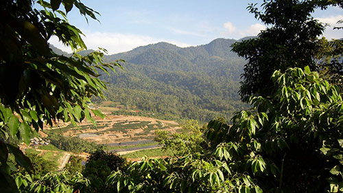 Enviro Tambang
